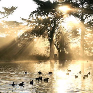 The Ghosts of Golden Gate Park