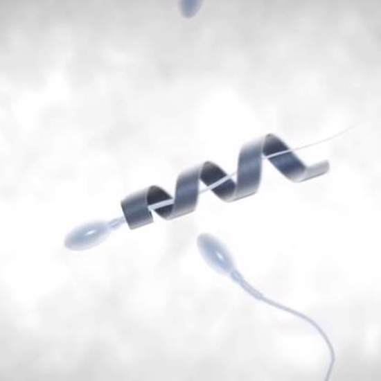 Micro Robot Helps Slow Sperm Speed Up its Swim to the Egg