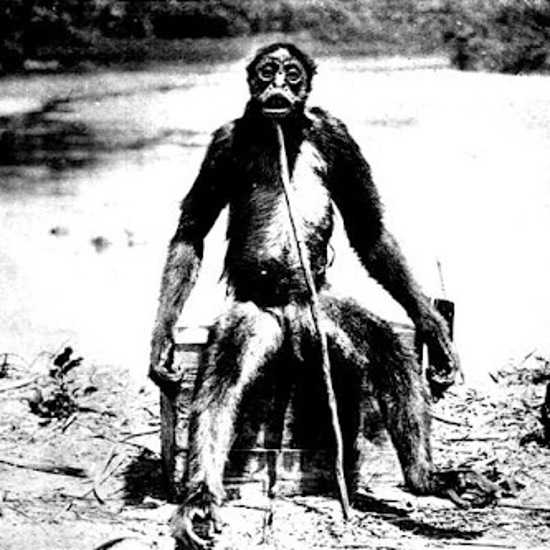 The Greatest Cryptozoology Hoaxes of All Time, Part 1