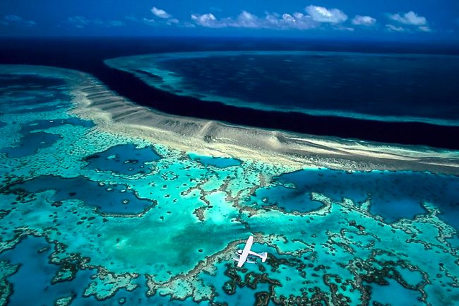 The Great Barrier Reef Queensland