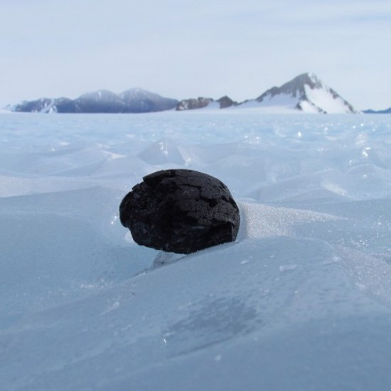 Buried Antarctic Meteors May Hold Secrets of Solar System