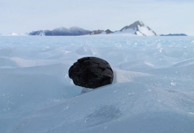 Buried Antarctic Meteors May Hold Secrets of Solar System