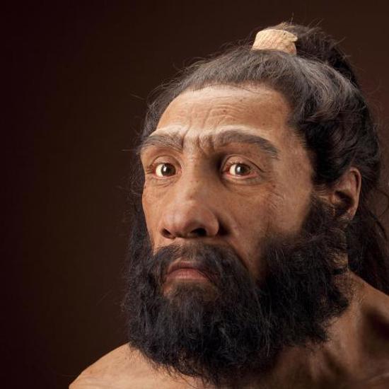 Blame Your Depression and Addictions on Neanderthal DNA