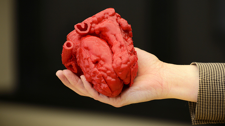 3D printed model of human heart RM 722x406