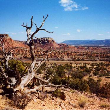 Exploring American Monsters: New Mexico