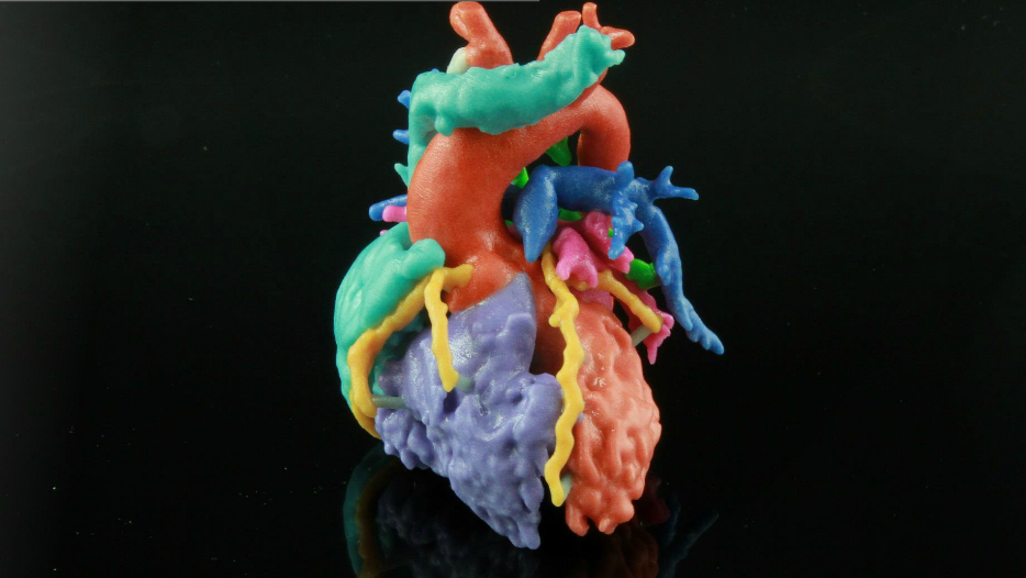 Materialise heart models