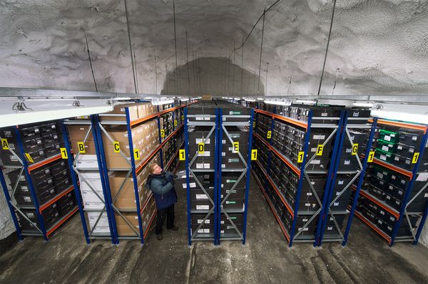Svalbard seed vault interior