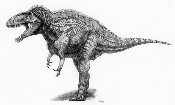 jcjcAcrocanthosaurus