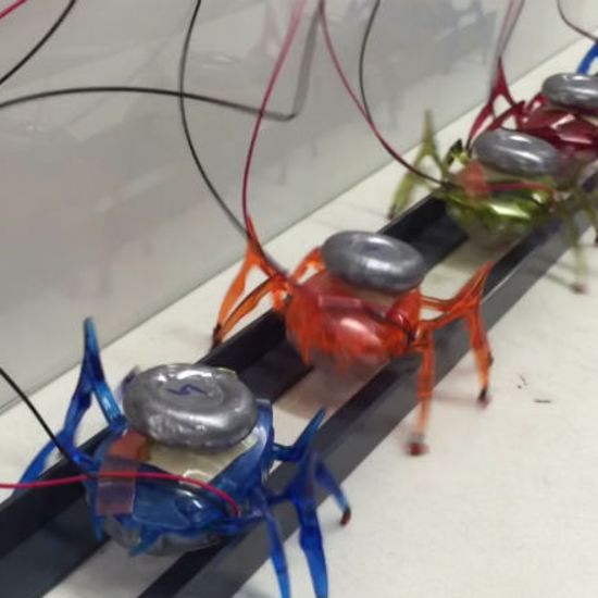 Six Tiny Robots Team Up to Pull Massive Car