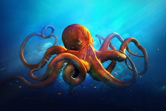 underwater-world-animals-octopus-ocean-sea-fantasy-artwork-art-hd-1080p-pics-75151