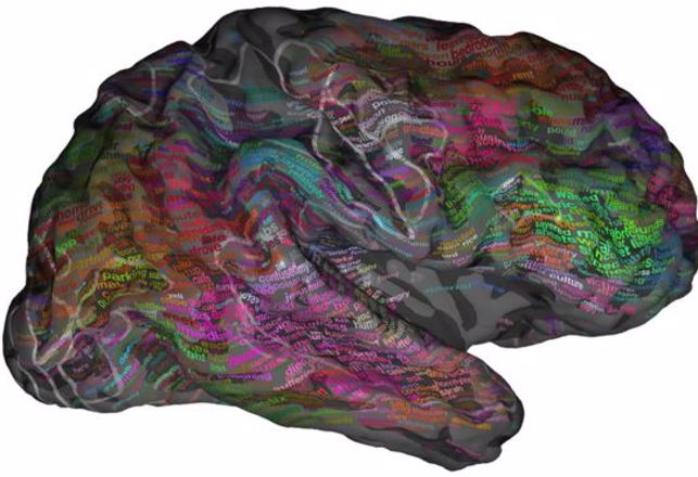 New Atlas Maps Words to Locations in the Brain