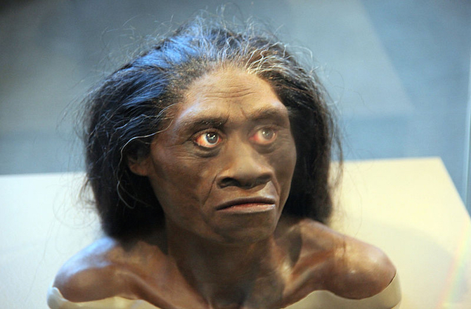 dnews files 2014 10 Homo floresiensis 141022 jpg