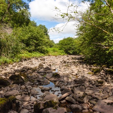 Two More Rivers Disappear Overnight in Mexico