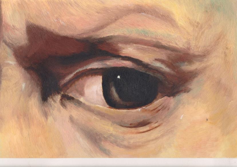 eye of rembrandt  by eddy999