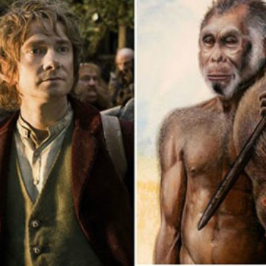 The Eras of Hobbits and Humans May Not Have Overlapped