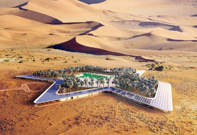 Plan an Escape to a New Eco-Resort in a Desert Oasis