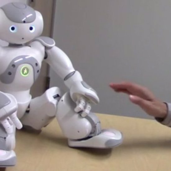 Humans Get Aroused When Touching Robots in Certain Places