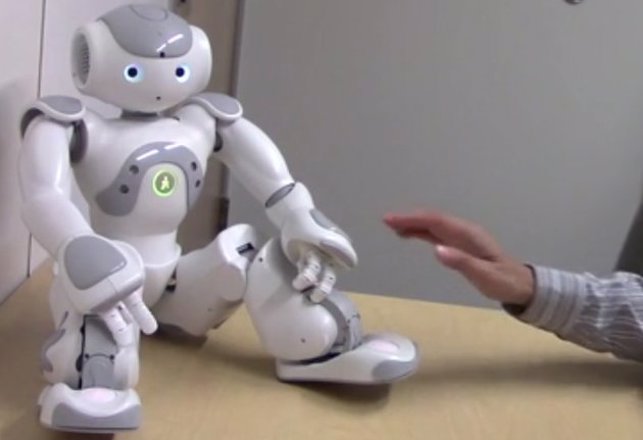 Humans Get Aroused When Touching Robots in Certain Places