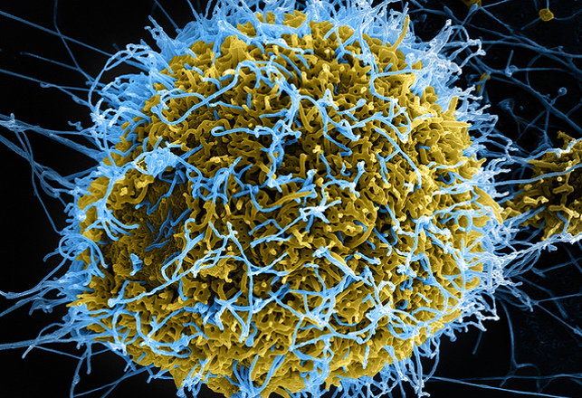 IBM Has Designed a Molecule To Kill Any Virus