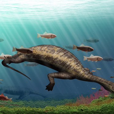 Bizarre Hammerhead Reptile is Earliest Marine Herbivore