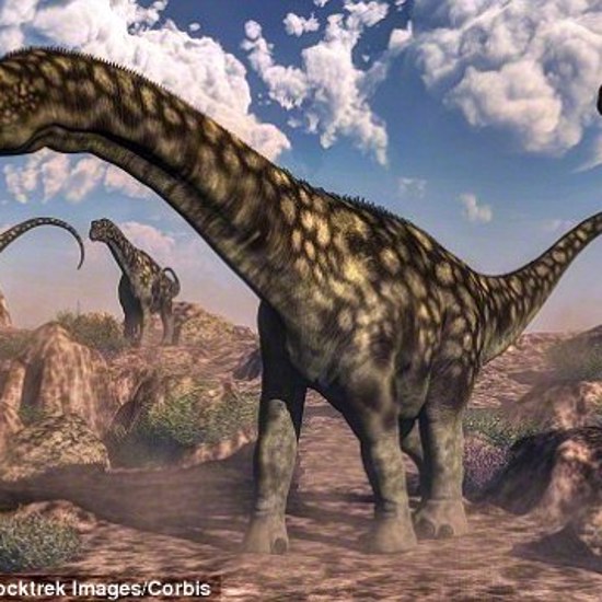 Huge Titanosaurs Had Small Brains but Smart Senses
