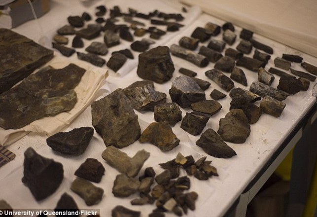 Treasure Trove of Fossils Found in Antarctica