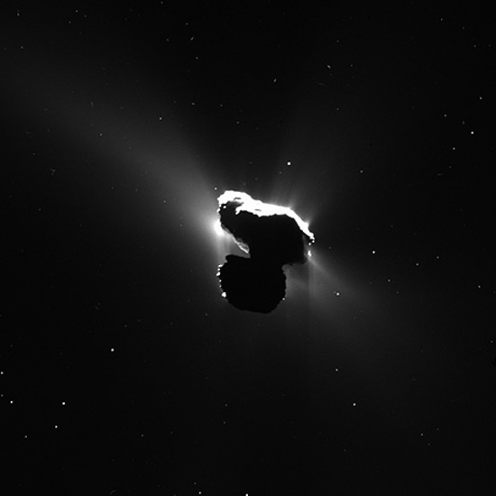 Comet 67P Contains the Building Blocks of Life