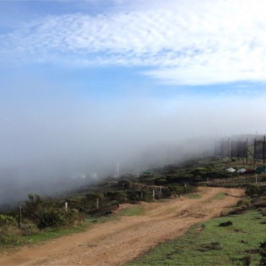 Making Beer From Fog in the World’s Driest Desert