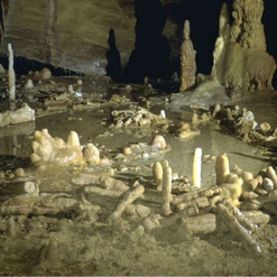 Archaeologists Baffled By Mysterious Neanderthal Structure