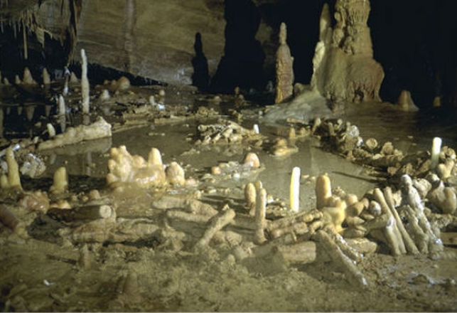 Archaeologists Baffled By Mysterious Neanderthal Structure