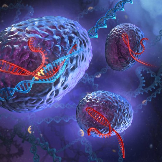 CRISPR Cuts HIV Genes Out of Live Animals