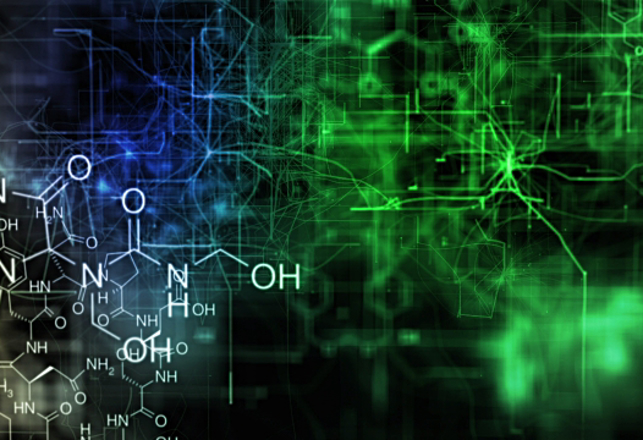 3D Holograms Reveal Hidden Molecular Structures