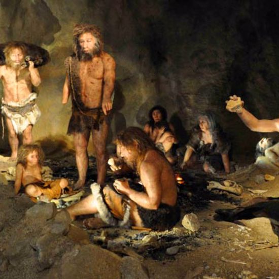 Neanderthal and Modern Humans Survival Was Based on Diet