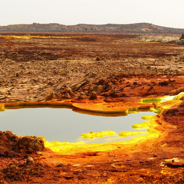 The Most Inhospitable Place on Earth May Still Support Life