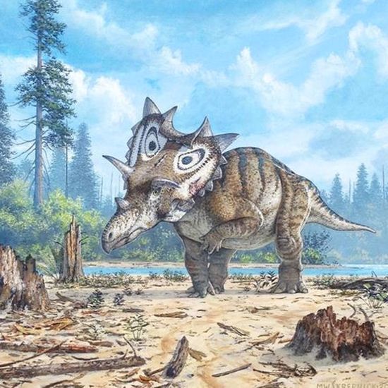 New Armored Dinosaur Species Discovered