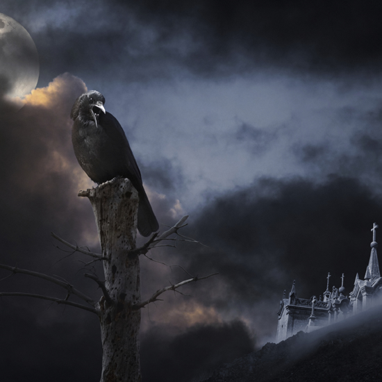 A Haunted Church and a “Spectral Bird”
