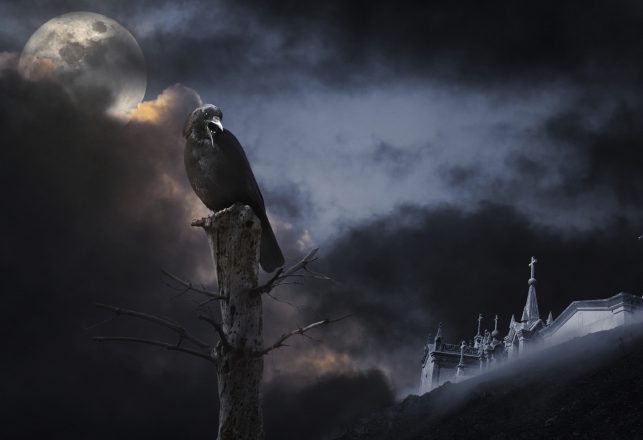 A Haunted Church and a “Spectral Bird”