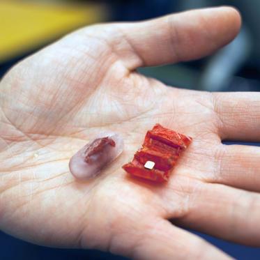 Ingestible Robot Removes Dangerous Swallowed Batteries