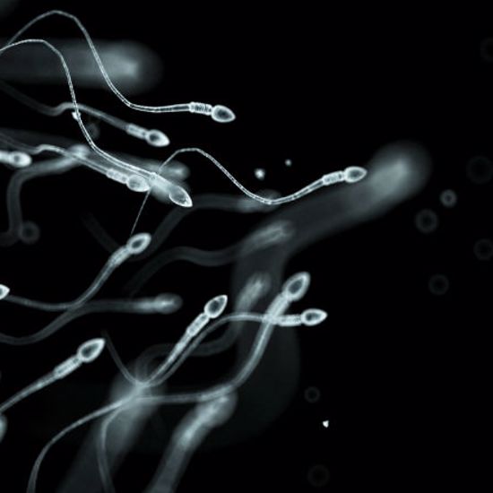Human Sperm Has Been Created Out of Skin Cells