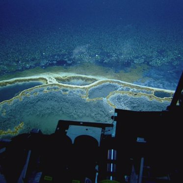 Undersea Lake in Gulf of Mexico Kills Everything It Touches