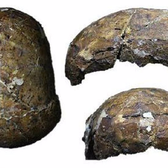 New Study of Ancient “Deep Skull” Upends History of Borneo