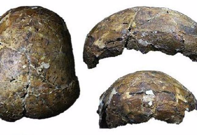 New Study of Ancient “Deep Skull” Upends History of Borneo
