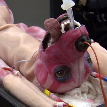 These Synthetic Dogs Can Bleed, Breathe, and Die