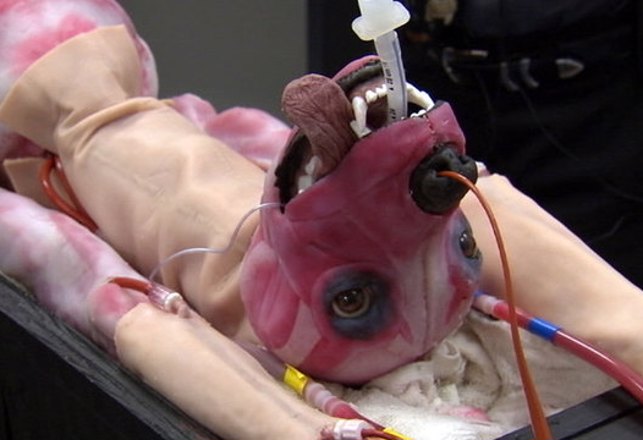 These Synthetic Dogs Can Bleed, Breathe, and Die