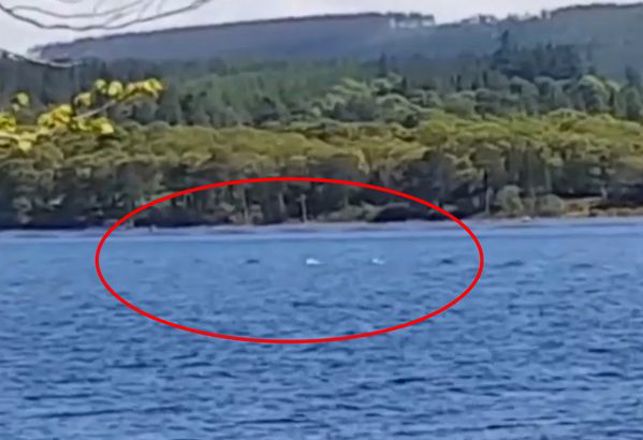 Tourist Captures Five-Humped Loch Ness Monster on Video