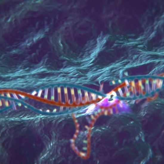 First Human Test of CRISPR Gene Editing in The Works