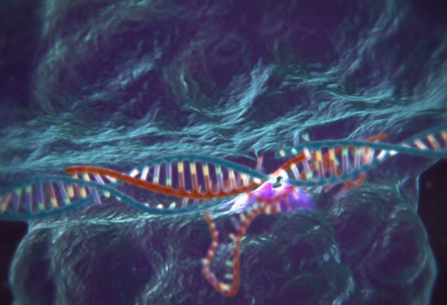 First Human Test of CRISPR Gene Editing in The Works