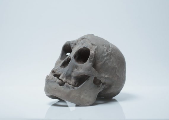 hobbit skull 570x407