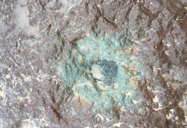 Completely Unique Ancient Meteorite Discovered