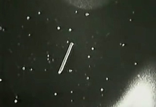 Ex-NASA Employee Says UFOs Are Just Space Dandruff